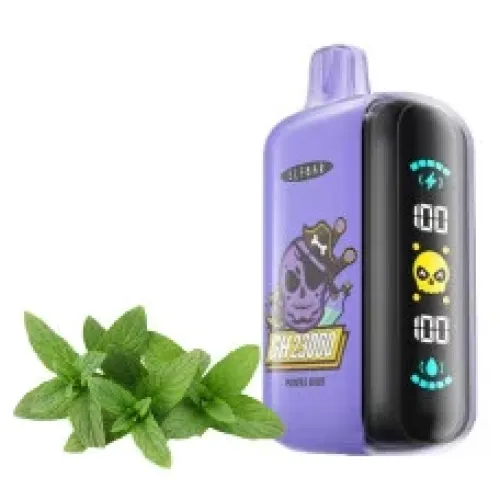 ElfBar GH 23000 Purple Mint